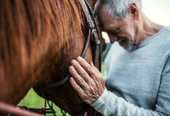 Horse-Human Communication